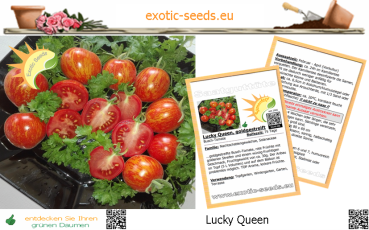 Tomate * Lucky Queen * 20 Samen